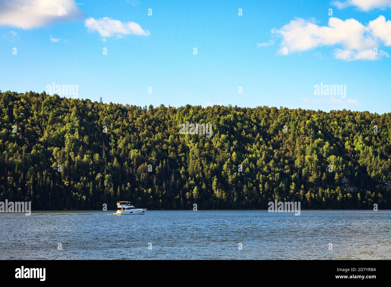 rapide gite in motoscafo sul lago sullo sfondo della foresta in giornata di sole Foto Stock