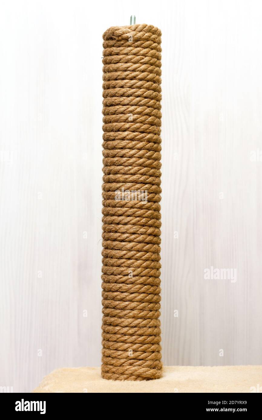 albero di gatto e mobili, corda di sisal gatto graffiare palo su tappeto beige Foto Stock