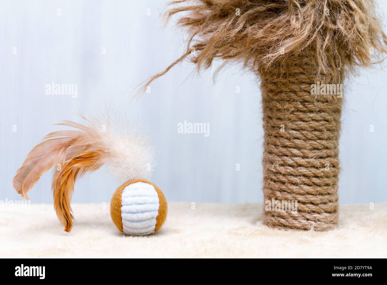 palo per graffiare gatto usato con parti raggrinzite e giocattolo rotondo palla con piume Foto Stock