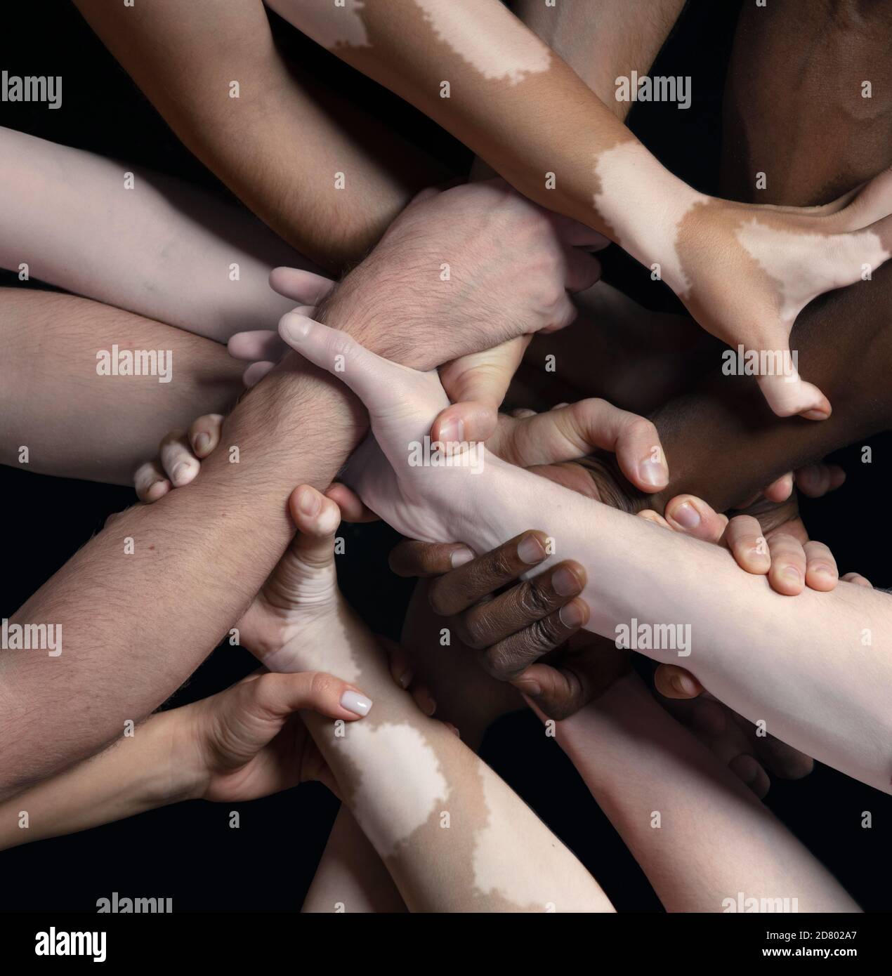 Supporto. Mani di persone diverse in contatto isolate su sfondo nero studio. Concetto di relazione, diversità, inclusione, comunità, togetherness. Contatto forte e duro, creando un'unità. Foto Stock