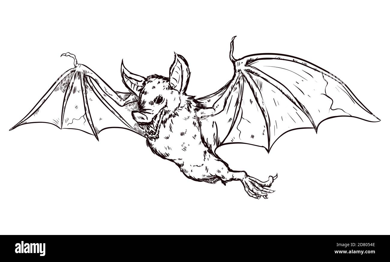 Pipistrello vampiro feroce e terrificante che vola in stile disegnato a mano, isolato su sfondo bianco. Illustrazione Vettoriale