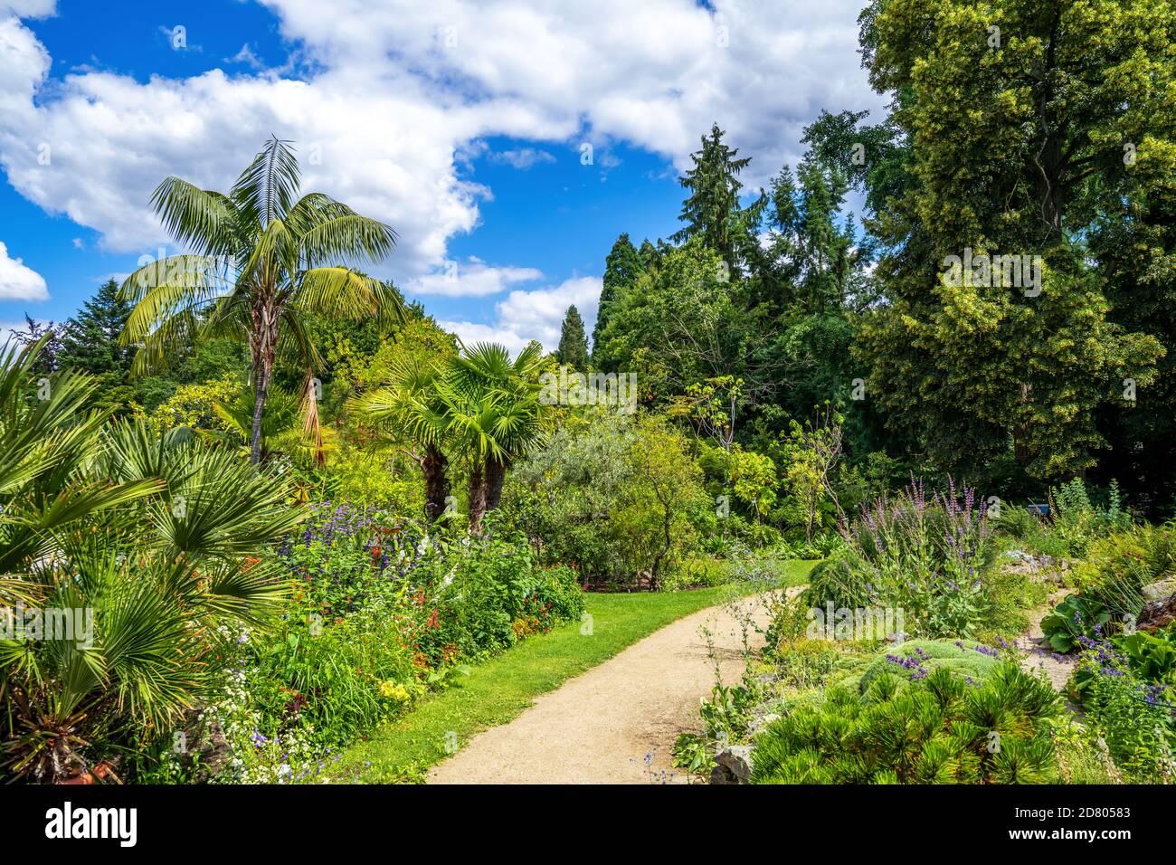 Giardino Botanico di Erlangen, Baviera, Germania Foto Stock