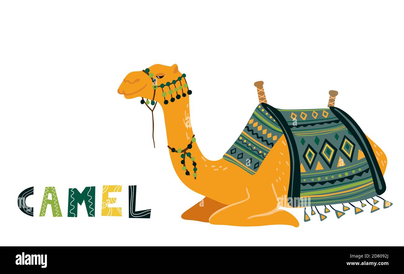 Immagine vettoriale di cammello su bianco. Cammello decorato con posto a sedere per un giro. Illustrazione Vettoriale