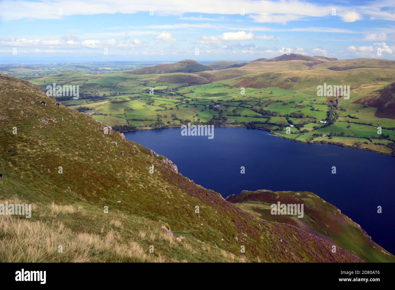 Guardando ad ovest sull'acqua di Ennerdale verso le Lamplud Fells dal Summit del Parco Nazionale del Distretto dei Laghi di Wainwright 'Crag Fell', Cumbria, Inghilterra Foto Stock