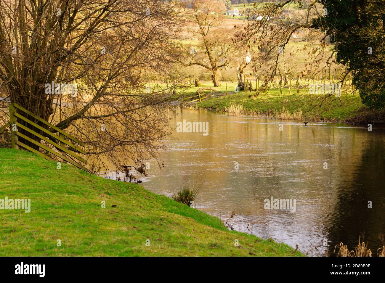 Il fiume ALWEN un affluente del fiume superiore Dee A Corwen North Wales Foto Stock