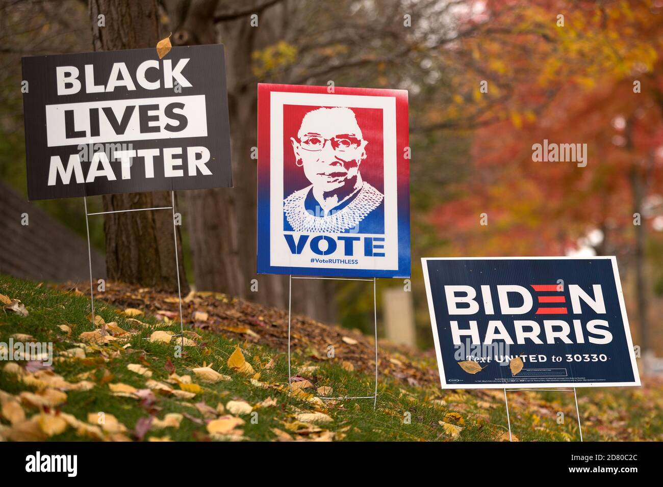 2020 yard Signs Black Lives Matter, ritratto di Ruth Bader Ginsburg con le parole Vota e VoteRUTHLESS, Joe Biden elezione presidenziale Foto Stock