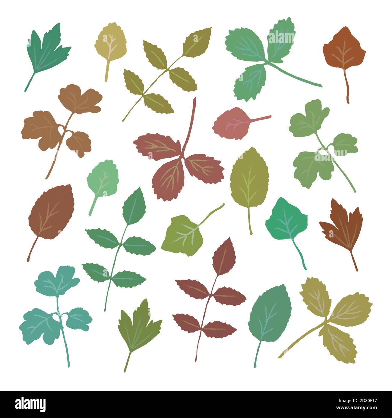 Collezione di colorate foglie autunnali isolate su sfondo bianco. Illustrazione vettoriale. Illustrazione Vettoriale