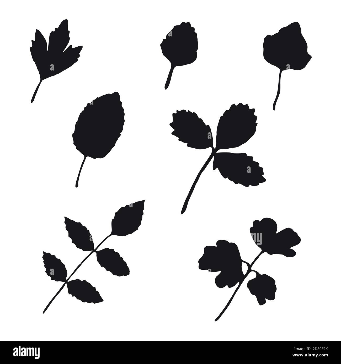 Collezione di foglie autunnali nere silhouette isolate su sfondo bianco. Illustrazione vettoriale. Illustrazione Vettoriale