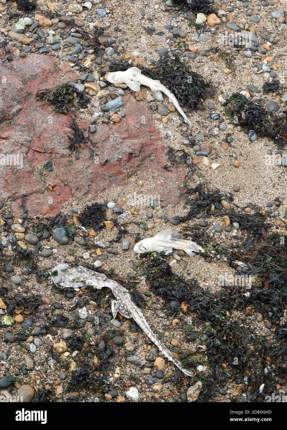 Herne Bay , Kent Foto Stock