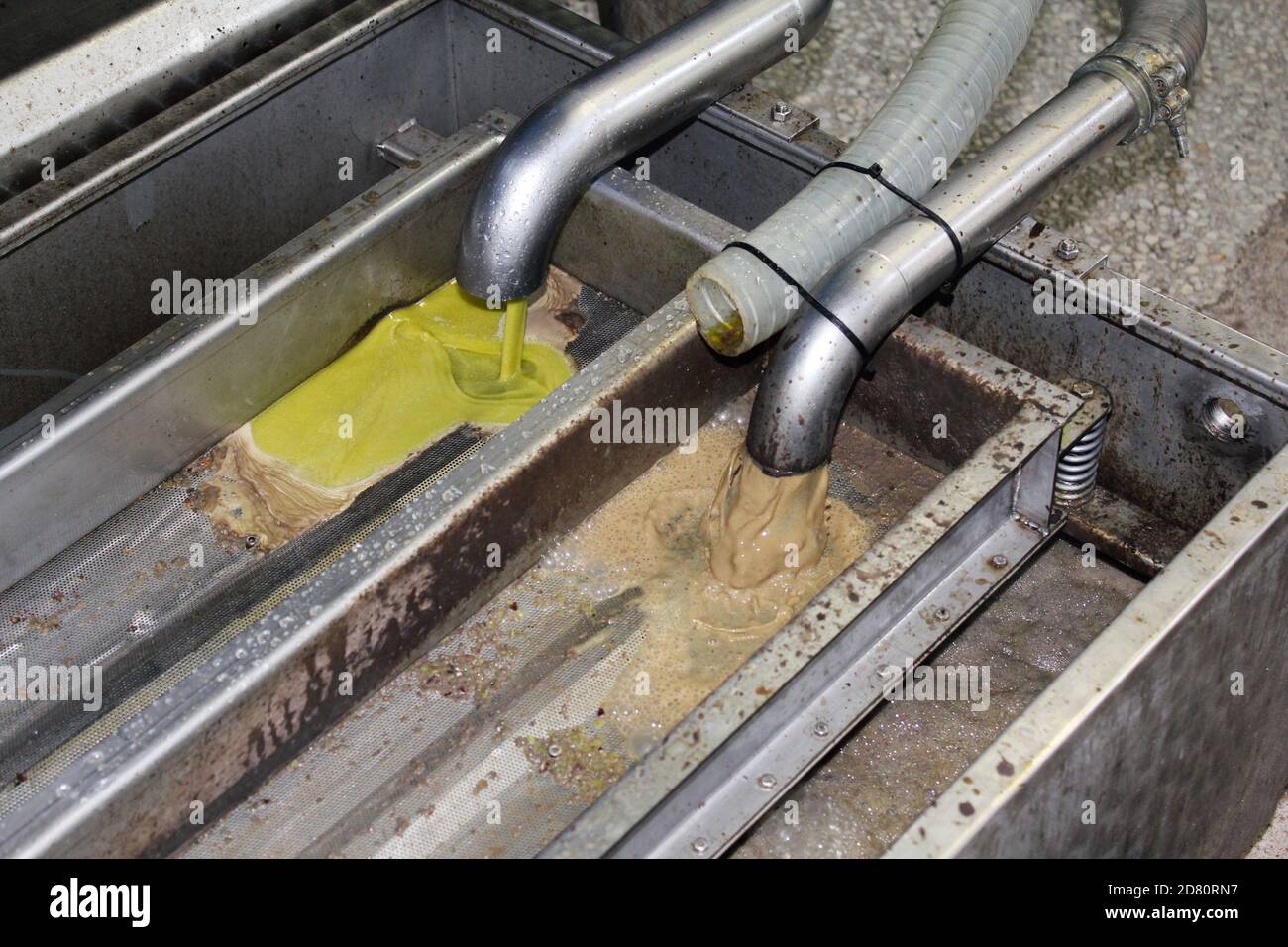 Processo di estrazione dell'olio extravergine di oliva in frantoio alla periferia di Atene ad Attica, Grecia. Foto Stock