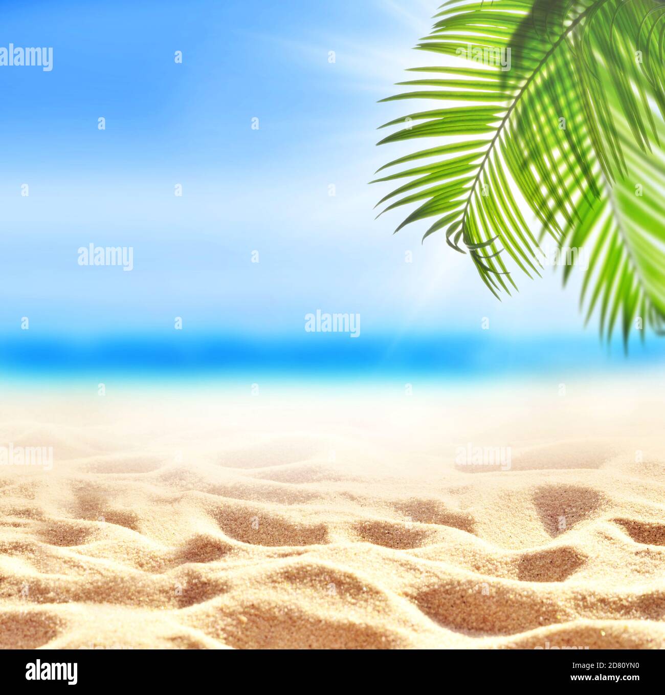 Estate spiaggia di sabbia sfondo. Foglia di palma verde, mare e cielo. Concetto estivo. Foto Stock