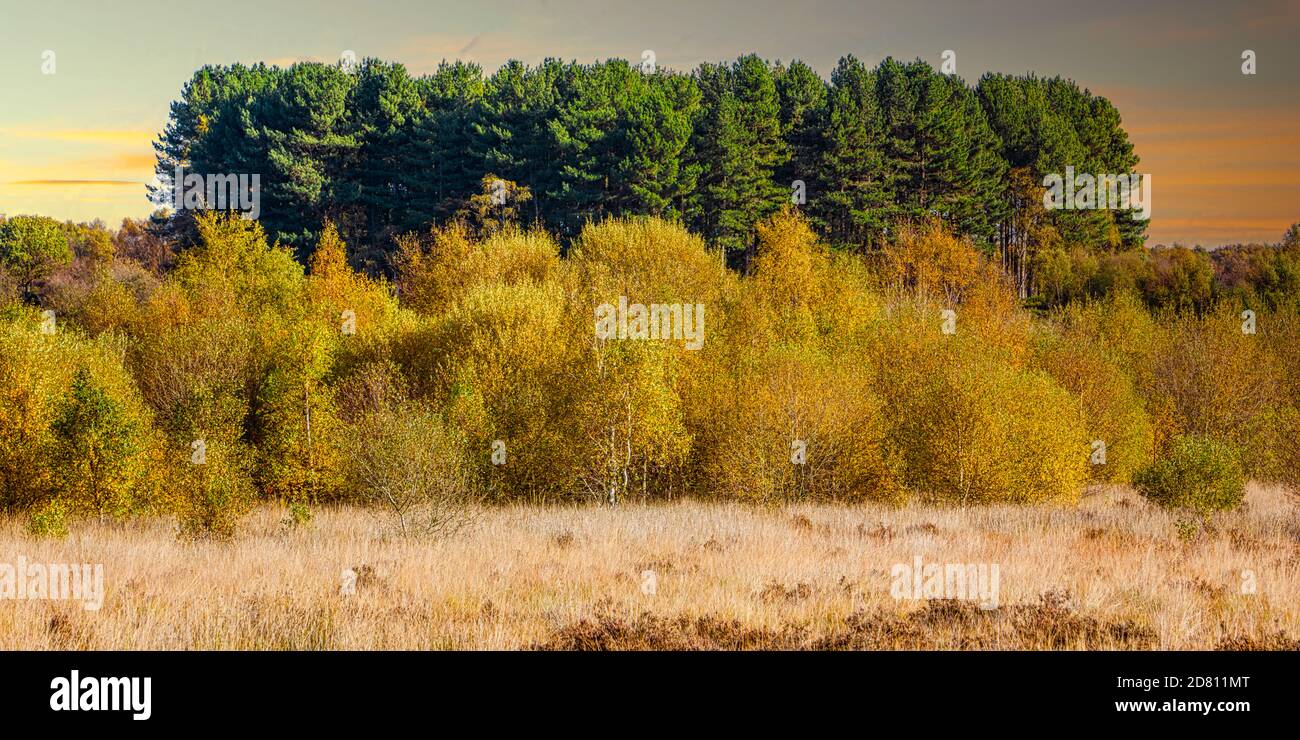 Scena autunnale nel parco Sutton con 3 strati di colore Con un bel cielo al tramonto che mostra tutta la bellezza dell'autunno Foto Stock