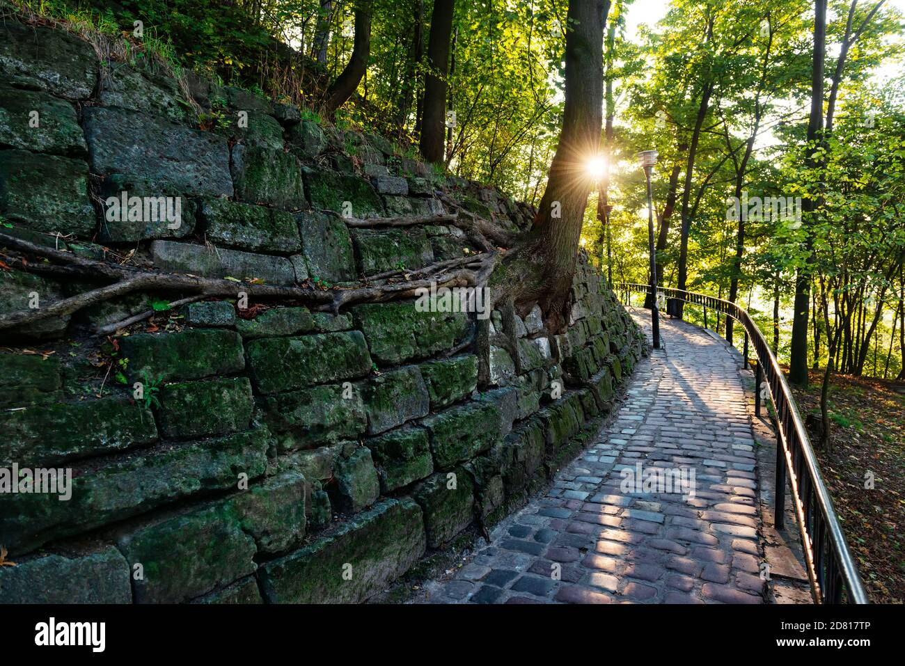 bellissimo sentiero in pietra nel parco del mattino Foto Stock