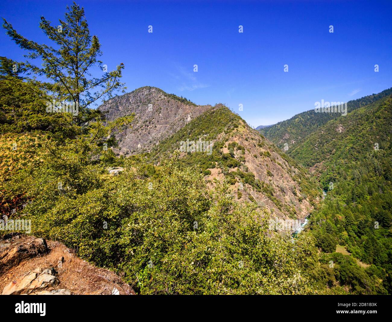 Sei fiumi forestale nazionale (Bigfoot Scenic Byway) Foto Stock