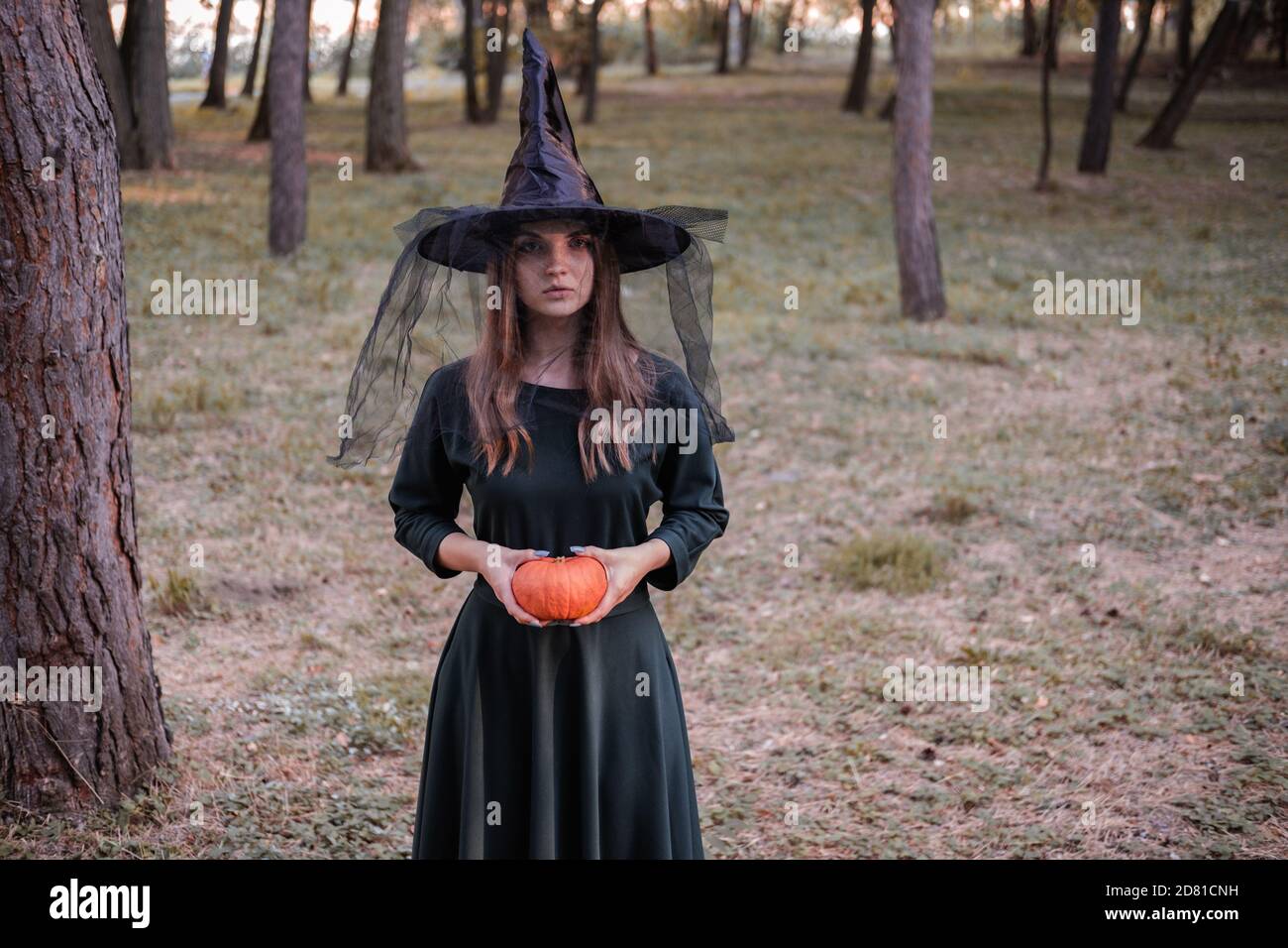 Giovane bella donna in abito scuro e cappello di strega tiene una zucca arancione nelle sue mani. Costume da festa di Halloween. Foresta, parco con alberi d'autunno Foto Stock