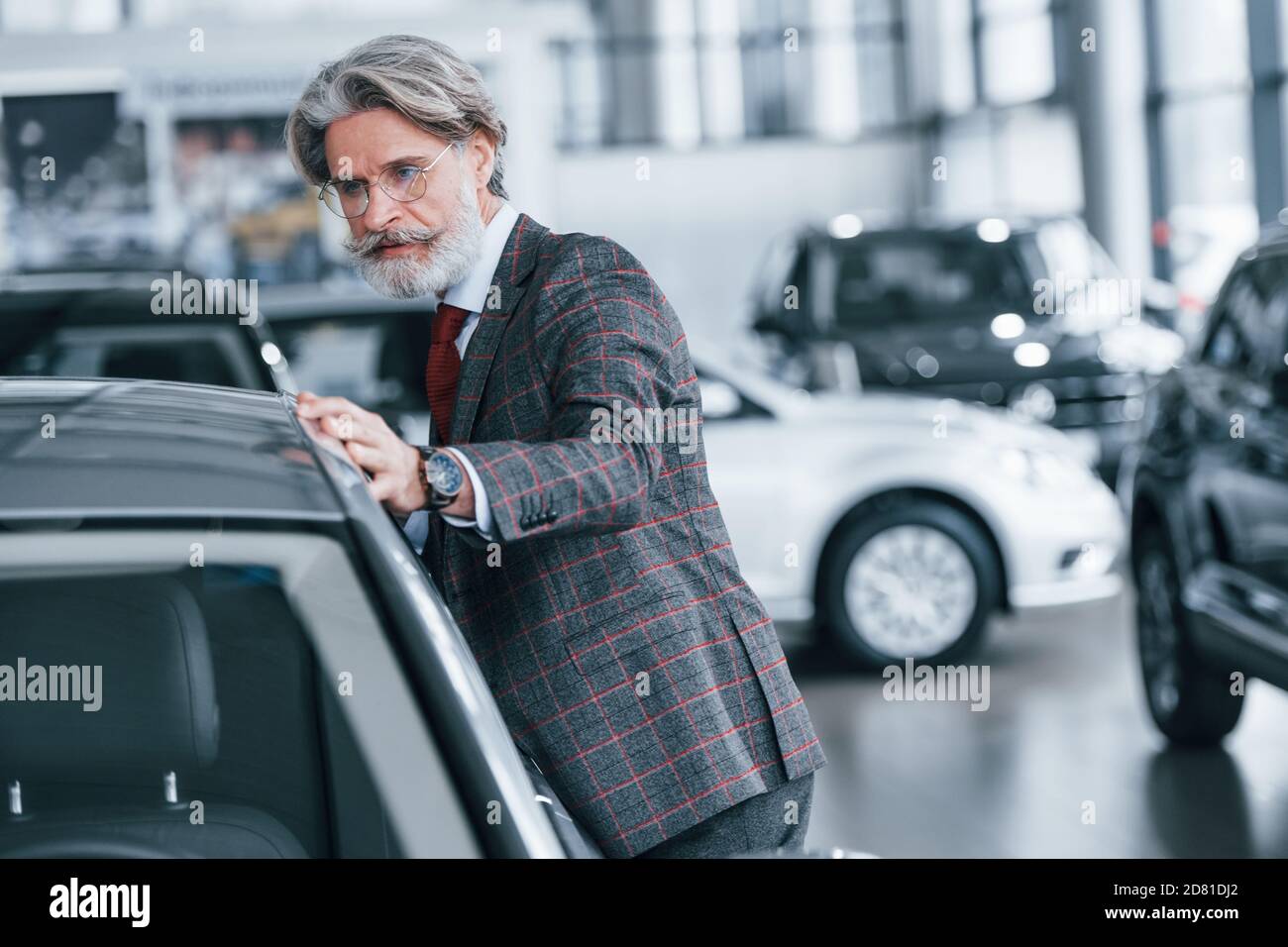 Vecchio uomo alla moda con capelli grigi e baffi che toccano nuovo auto all'interno del salone Foto Stock