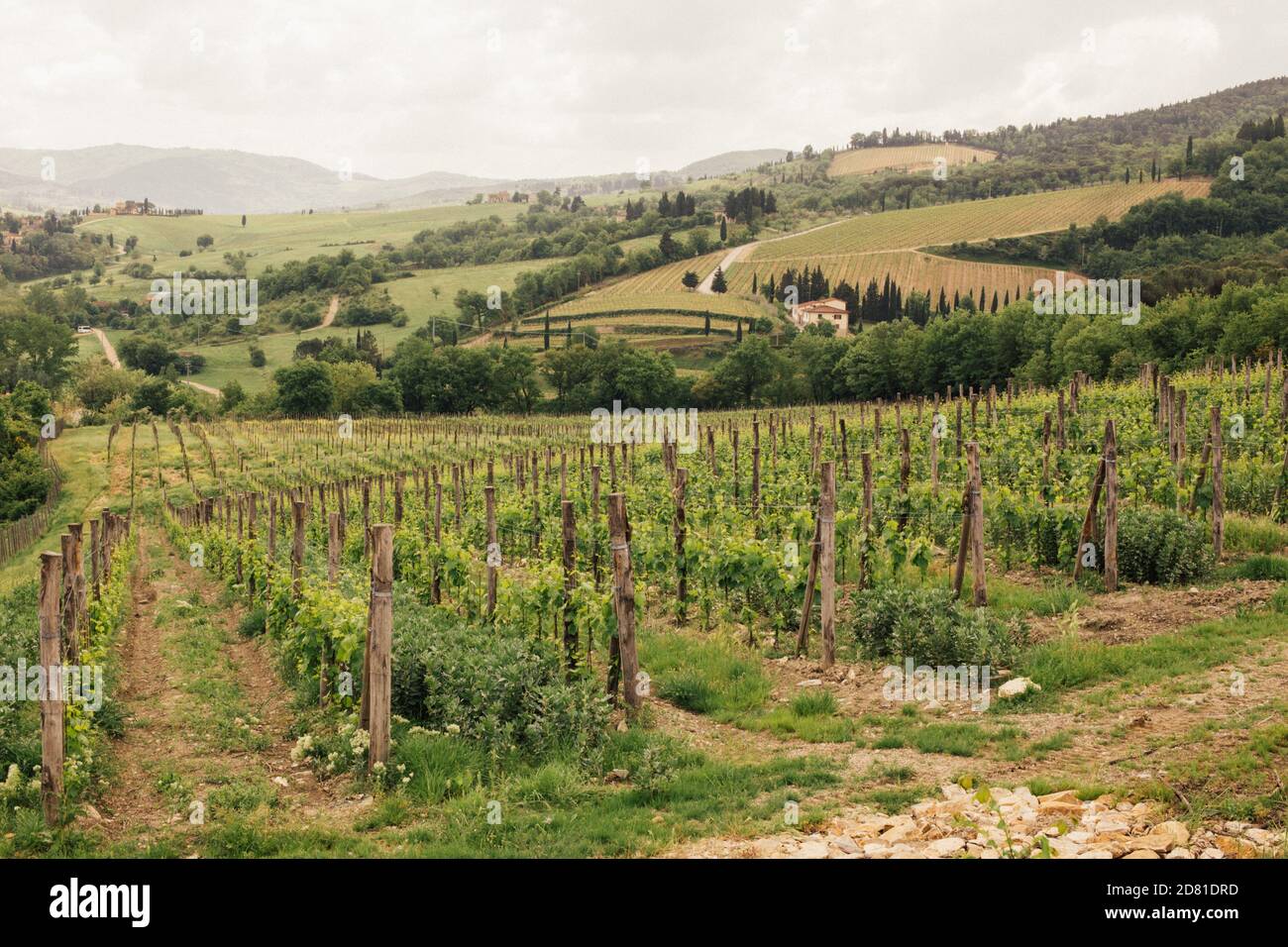 Toscana, Italia: Colline toscane in primavera Foto Stock
