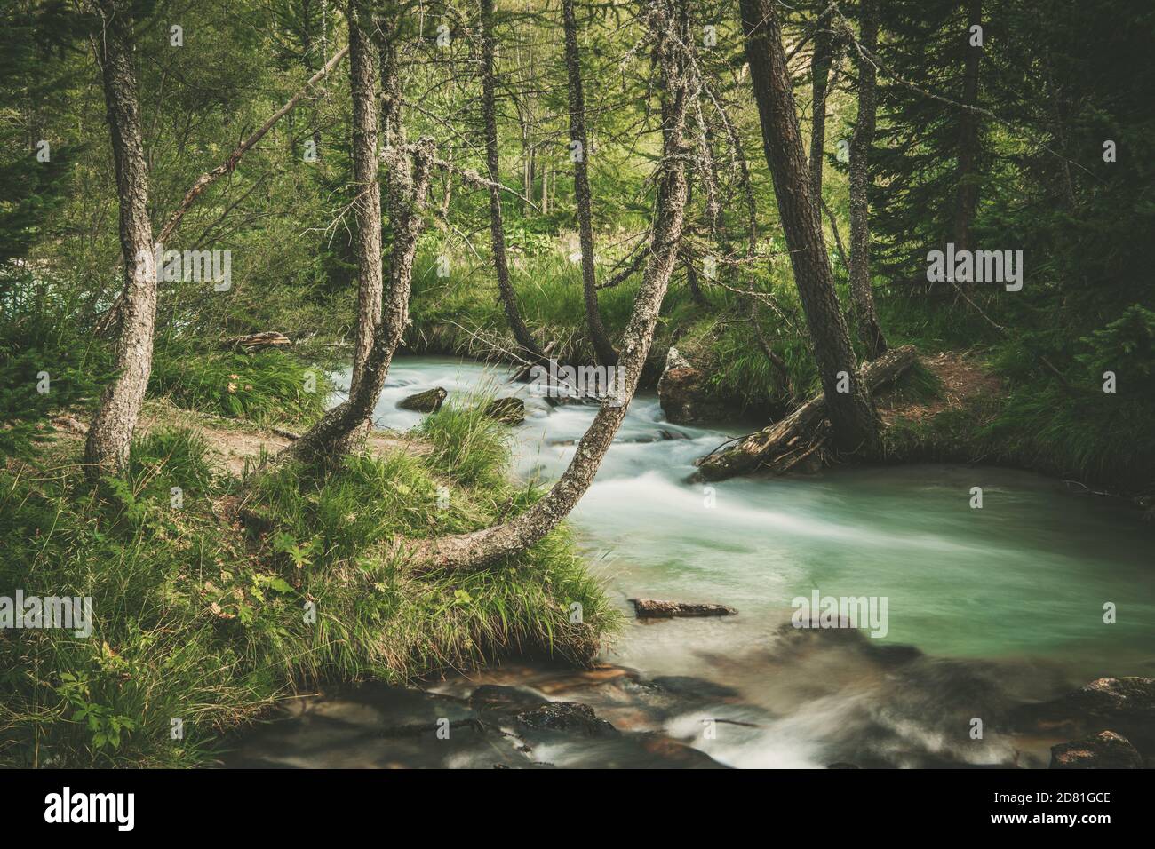 Periodo estivo piccolo paesaggio paesaggistico Foresta Fiume. Foto Stock