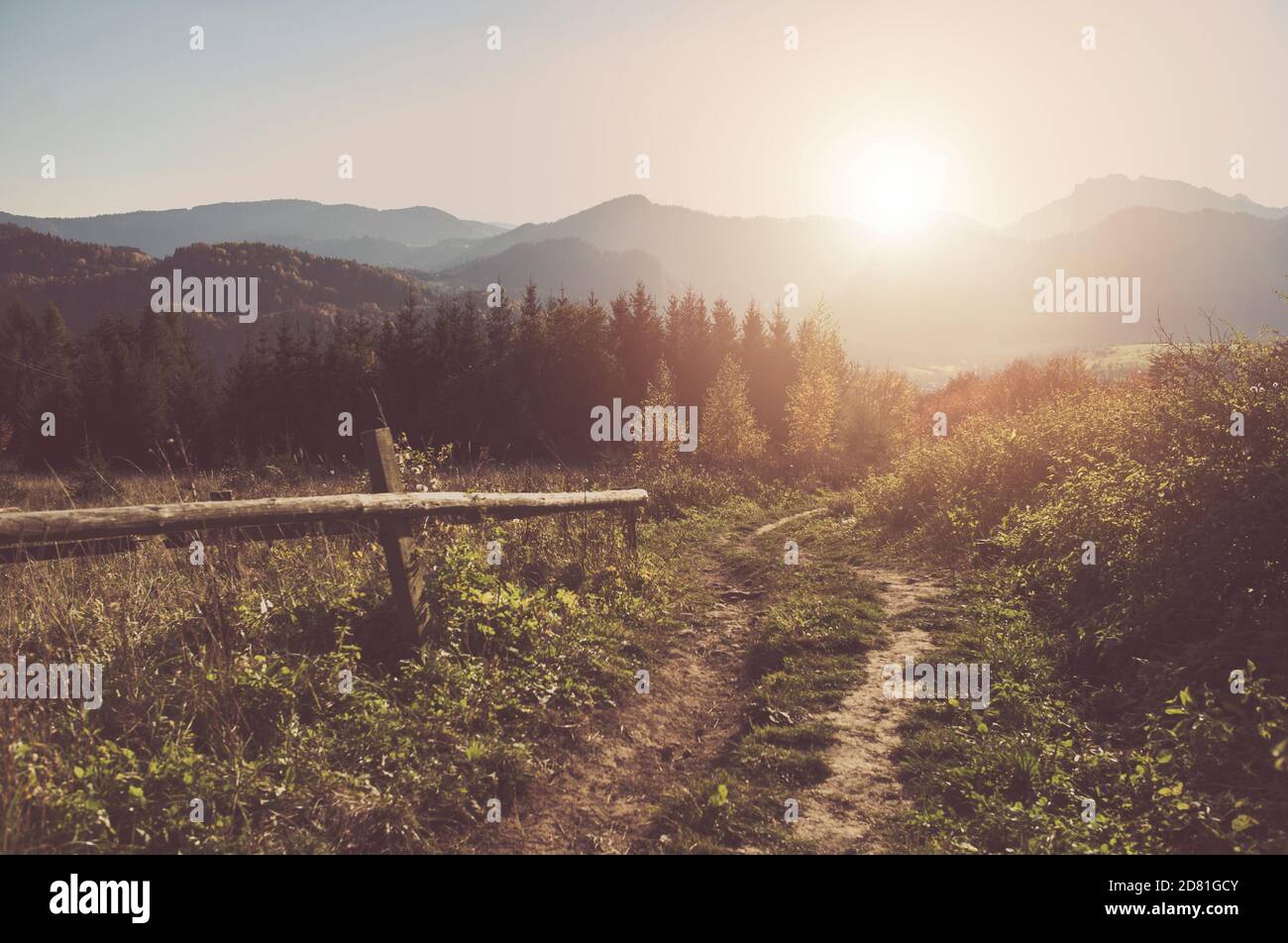 Calmo paesaggio natura. Sunny Carpazi Trail nel sud della Polonia, Europa. Foto Stock