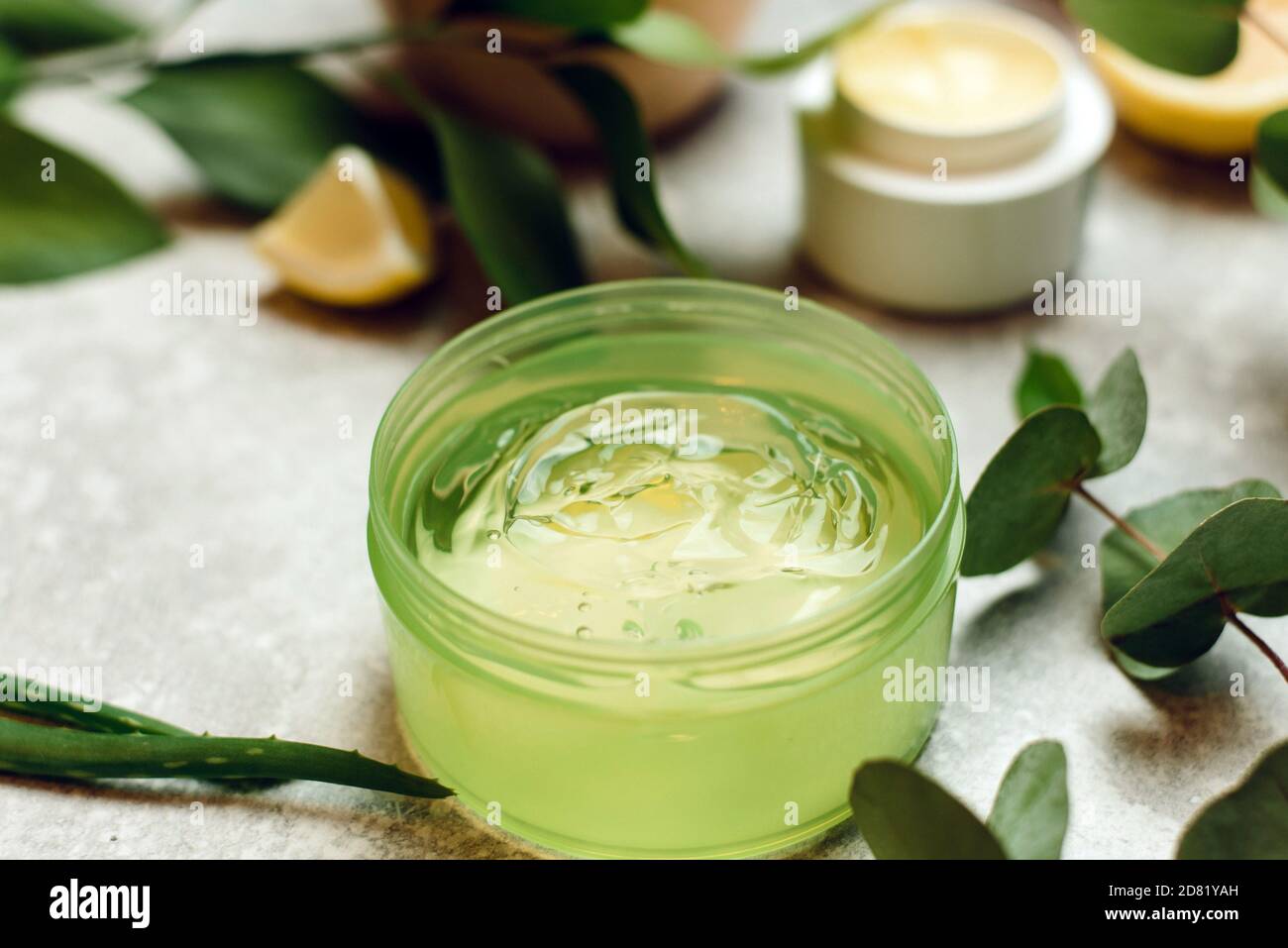 Una lattina di gel di aloe accanto ad un ramo di aloe e foglie di eucalipto. Il concetto di cura della pelle, amore per il vostro corpo, ingredienti naturali. Foto Stock
