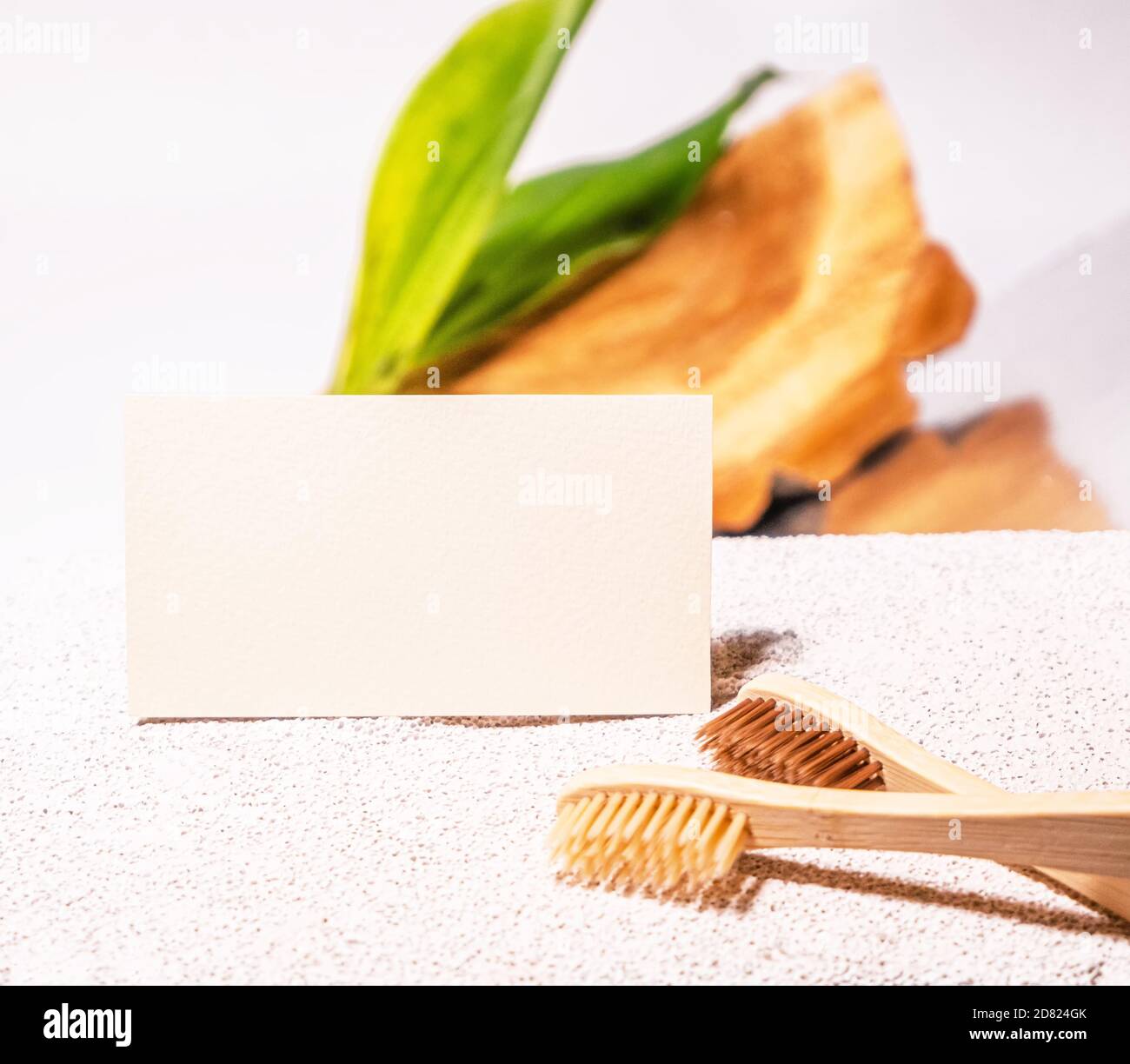 Cosmetologia biglietto da visita mock up con spazzolini da denti di bambù. Stile eco-naturale. Cemento e foglia verde. Scheda clinica di bellezza Foto Stock
