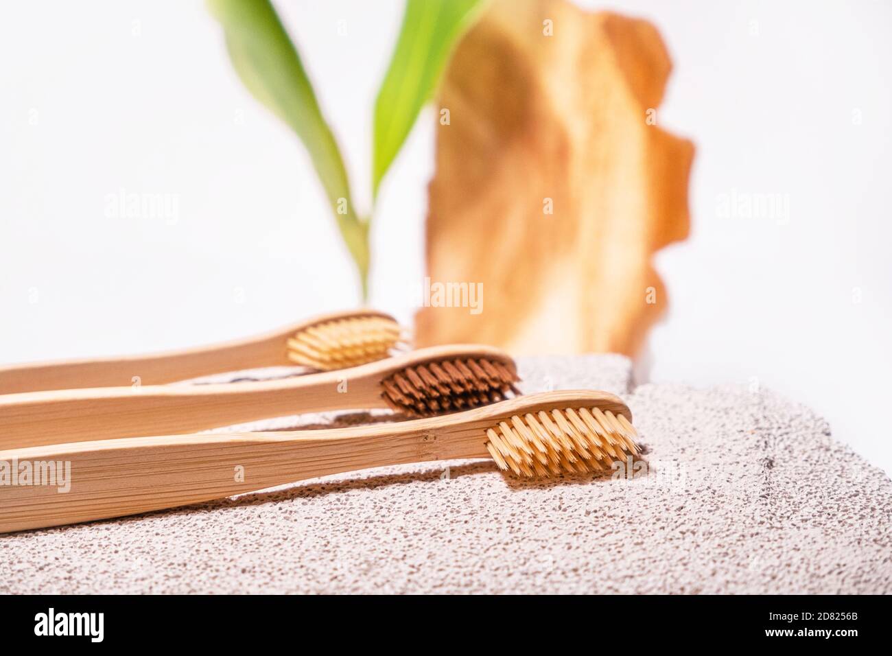 Zero spazzolini da denti di scarto su fondo eco naturale con cemento, foglia verde e sezione trasversale dell'albero. Spazzolino in bambù o legno. Sfondo dentale Foto Stock