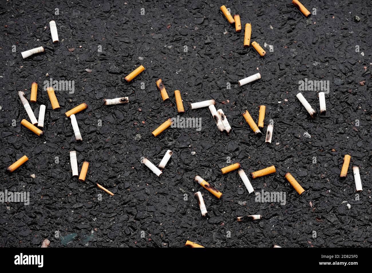 mozziconi di sigaretta gettati sulla strada Foto Stock