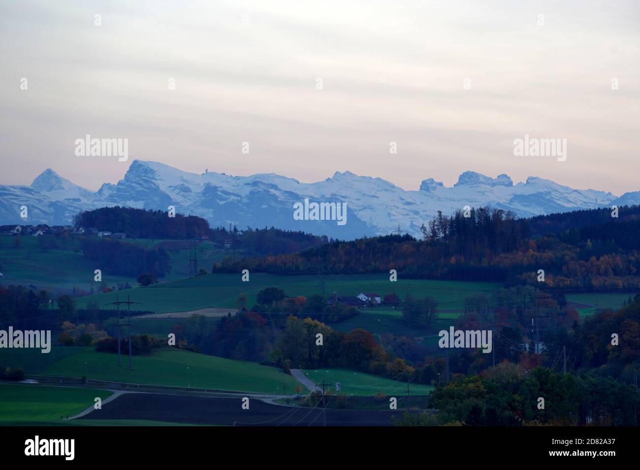 Particolare del paesaggio rurale in autunno nella regione Limmattal, cantone Zurigo in Svizzera primo piano. Ci sono cime innevate sullo sfondo. Foto Stock