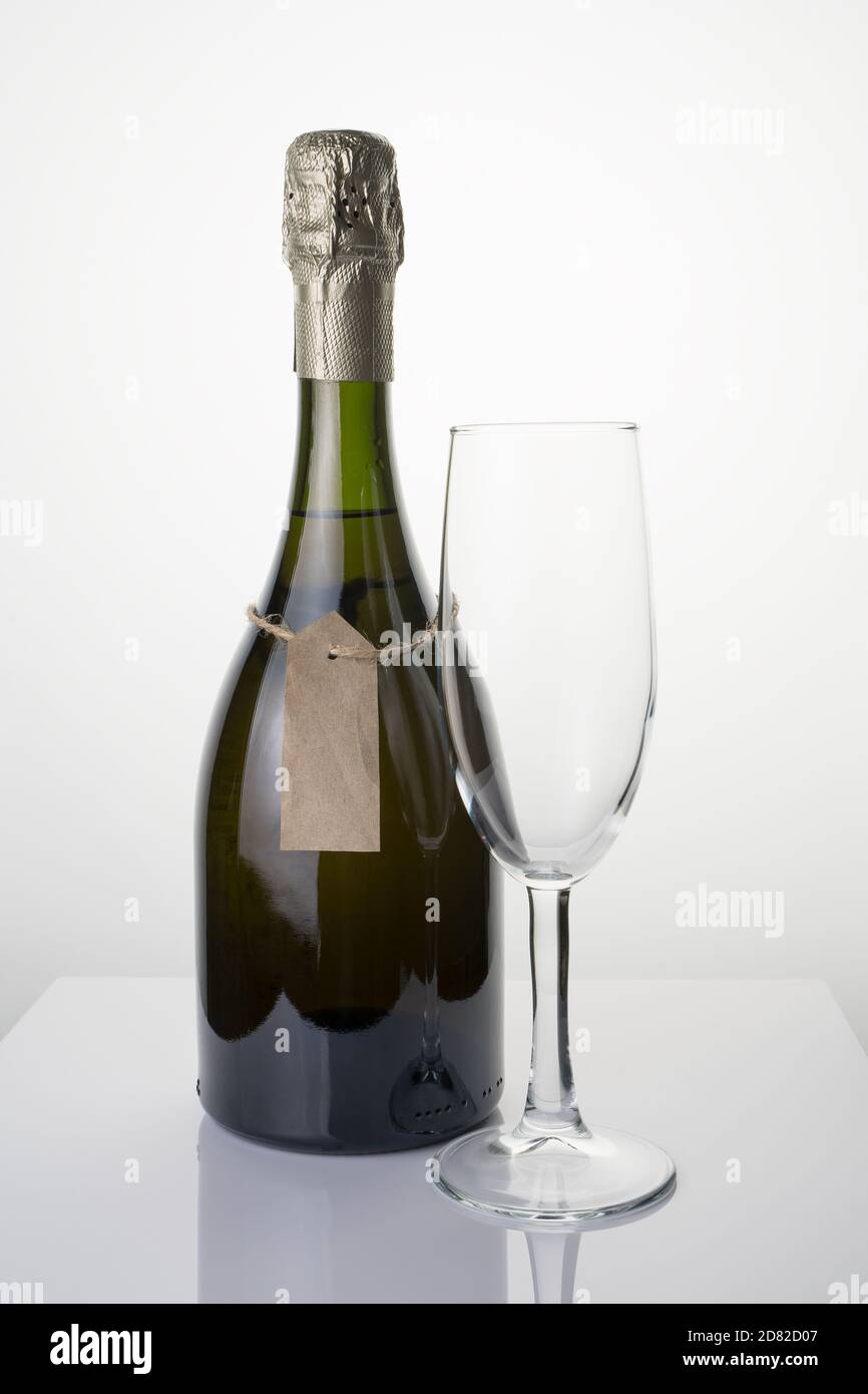 Elegante bottiglia di champagne e bicchiere di vino su sfondo chiaro. Foto Stock