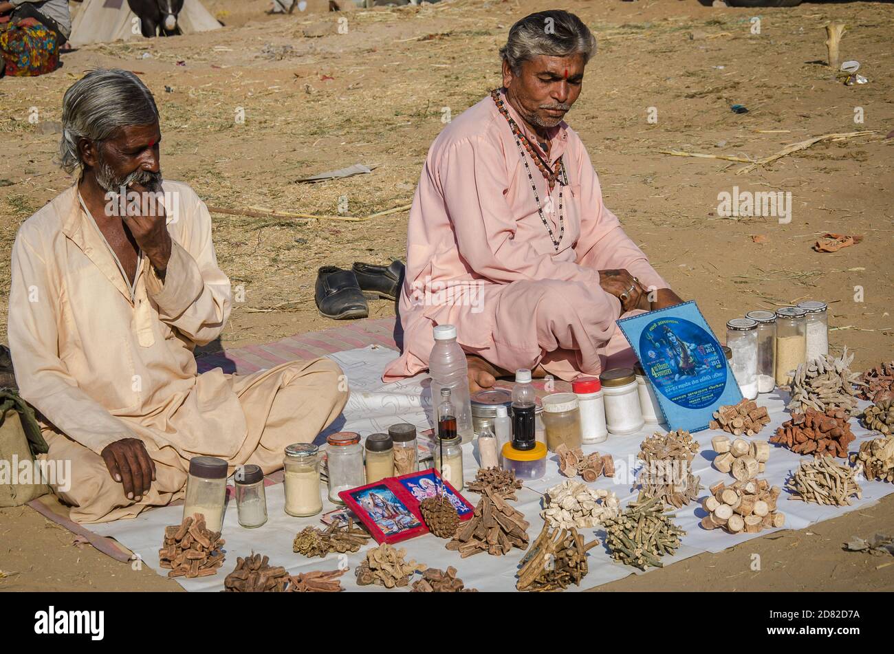 Venditori di erbe al Pushkar Festival, India Foto Stock