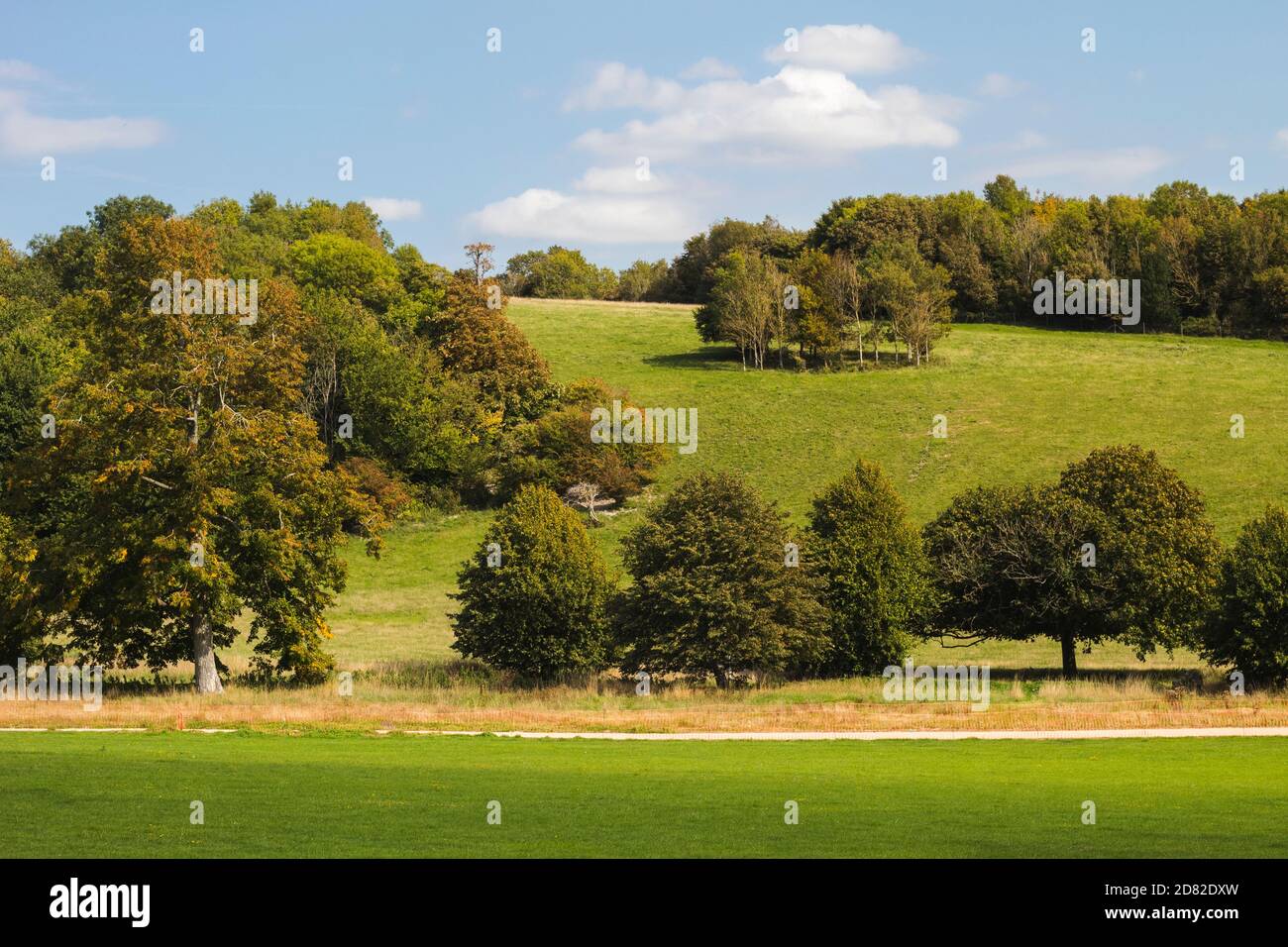 Stanmer Park Landscape Foto Stock