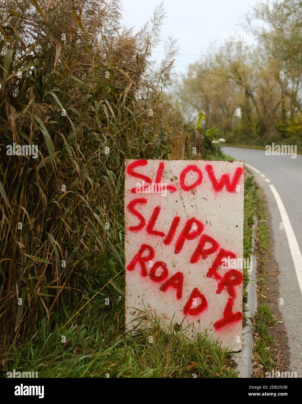 Ottobre 2020 - Slow Slippery strada dipinta a mano cartelli su una strada di campagna nel Somerset rurale, Inghilterra Foto Stock