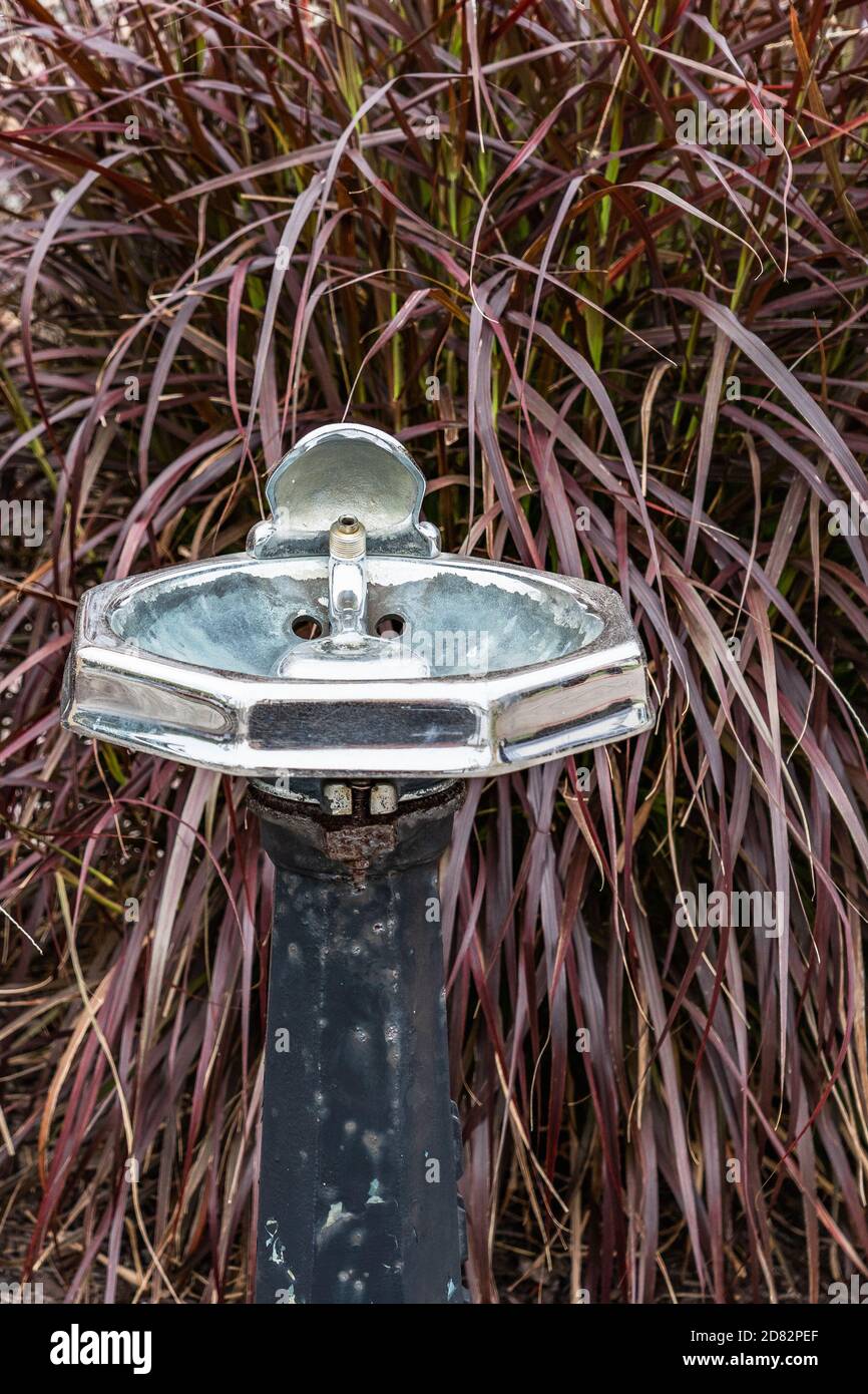 Weathered fontana pubblica bere di fronte al rosso Fontana Grass erba ornamentale Foto Stock
