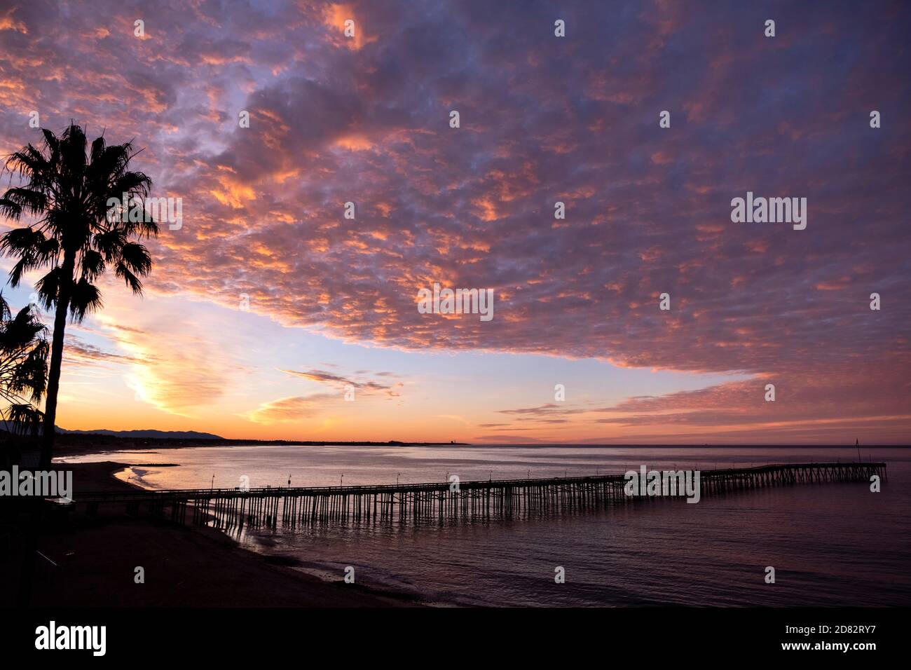Molo di Ventura con palme all'alba sull'Oceano Pacifico, California Foto Stock
