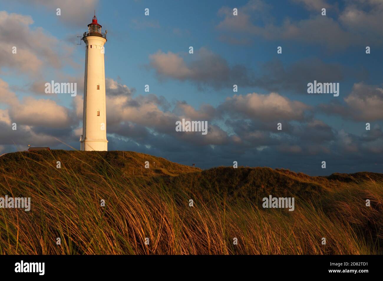 Faro di Norre Lyngvig vicino a Hvide Sande; Danimarca; Nørre Lyngvig Fyr, Danmark Foto Stock