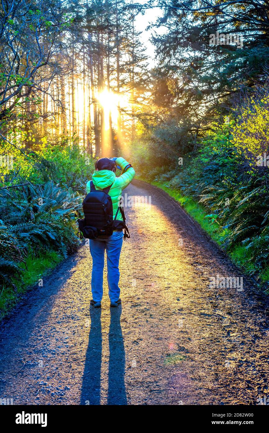 Donna escursionista che scatta foto al tramonto su un sentiero. Ilwaco-Washington, Stati Uniti Foto Stock