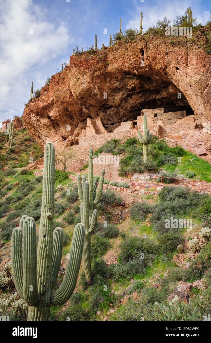 Monumento nazionale di Tonto, deserto di sonora, Arizona Foto Stock