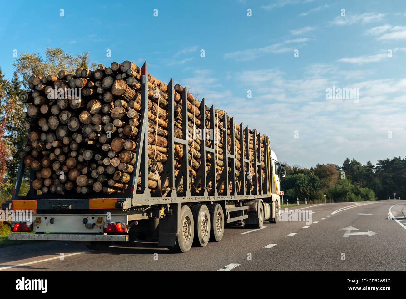 Carrello lungo pesante industriale portavalvole in legno cargo camion con legno grande pino, abete rosso, cedro guida su strada con cielo blu sfondo Foto Stock