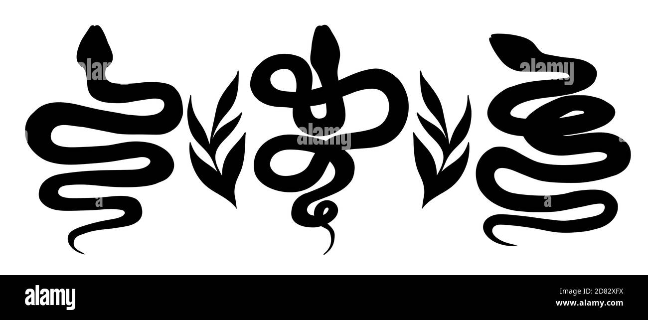 Vettore silhouette serpente su sfondo bianco. Simbolo isolato. Illustrazione vettoriale Illustrazione Vettoriale