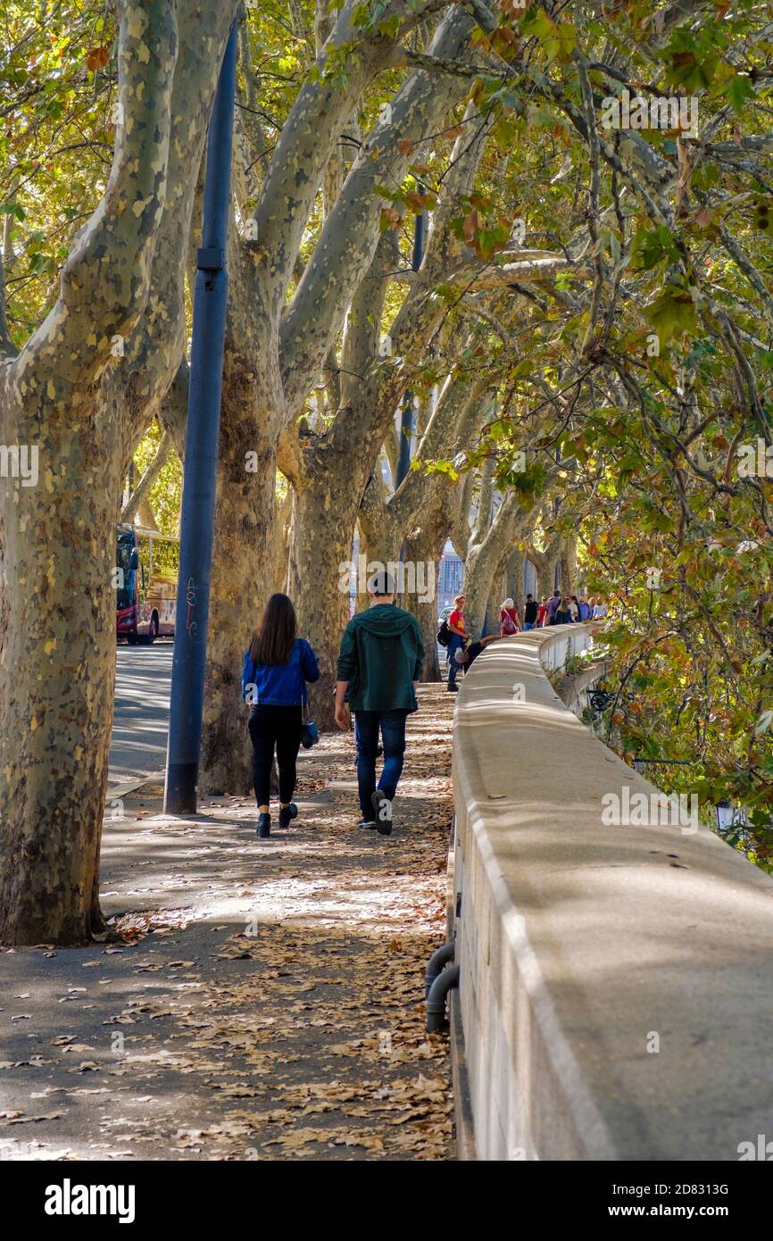 Persone che camminano sul lungofiume lungo il fiume Tevere, stagione autunnale, Roma, Italia. Foto Stock
