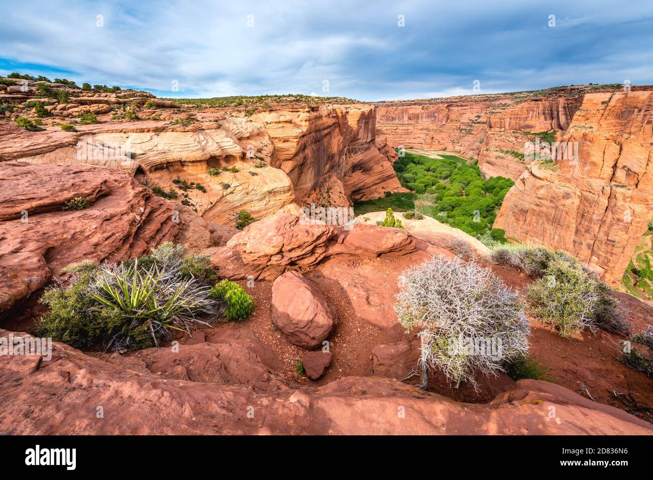 Spider Rock nel Canyon de Chelley, Arizona-USA Foto Stock