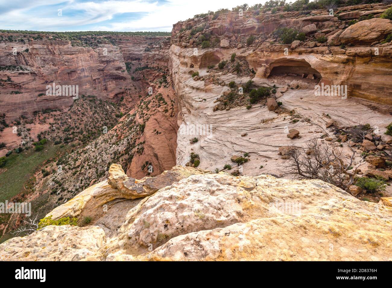 Spider Rock nel Canyon de Chelley, Arizona-USA Foto Stock