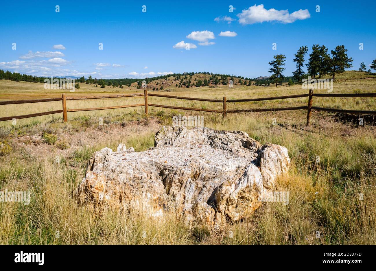 Florissant Fossil Beds National Monument Foto Stock