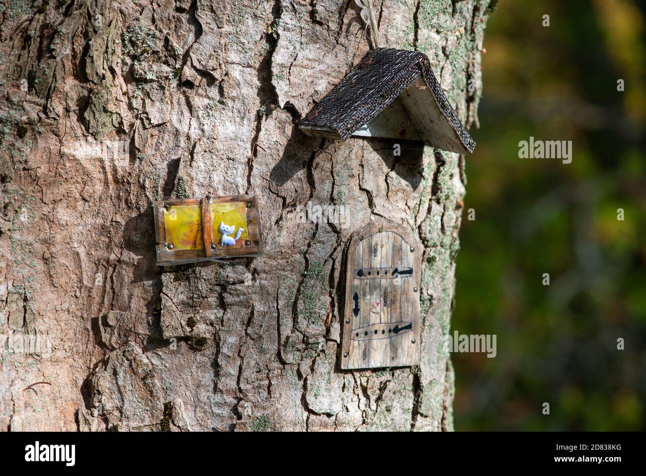 Una casa di fata in un grande albero di quercia. C'è un piccolo tetto attaccato alla corteccia esterna dell'albero. Foto Stock