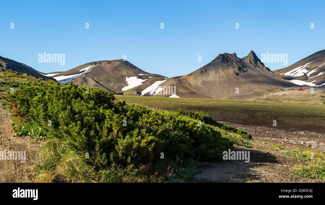 Kamchatka. Estrusione di cammello ai piedi dei vulcani Avachinsky e Koryak, sul passo Avachinsky Foto Stock