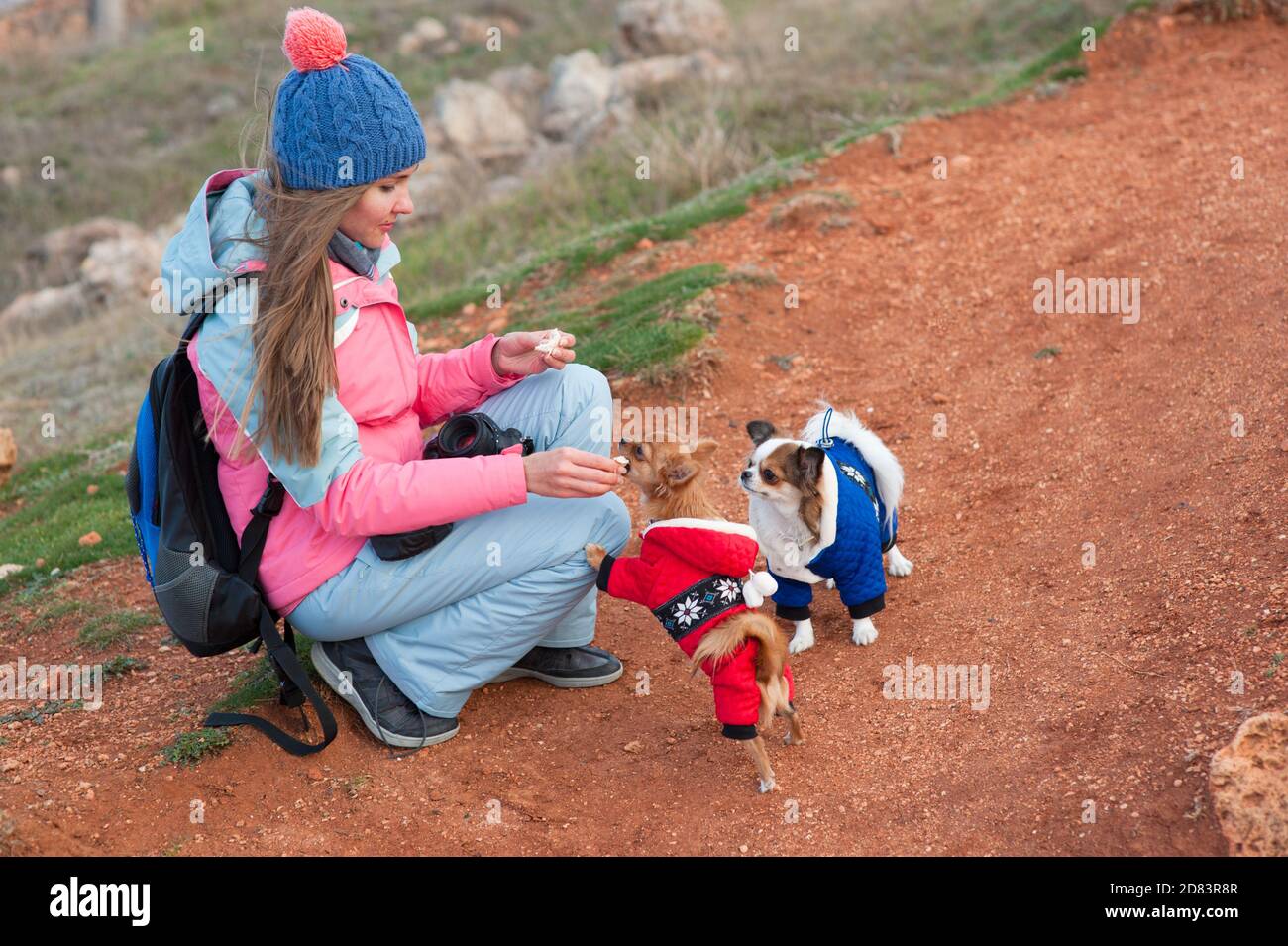 giovane donna carina che si prende cura di lei in abiti invernali che la alimentano piccoli cani chihuahua vestiti in costume blu e rosso durante attività ricreative all'aperto Foto Stock