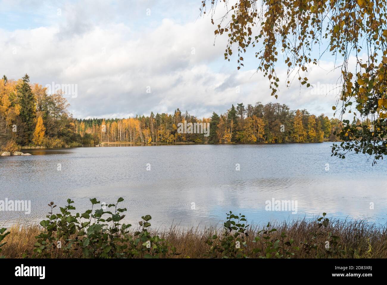 Serena vista lago con acqua calma nella stagione autunnale Foto Stock