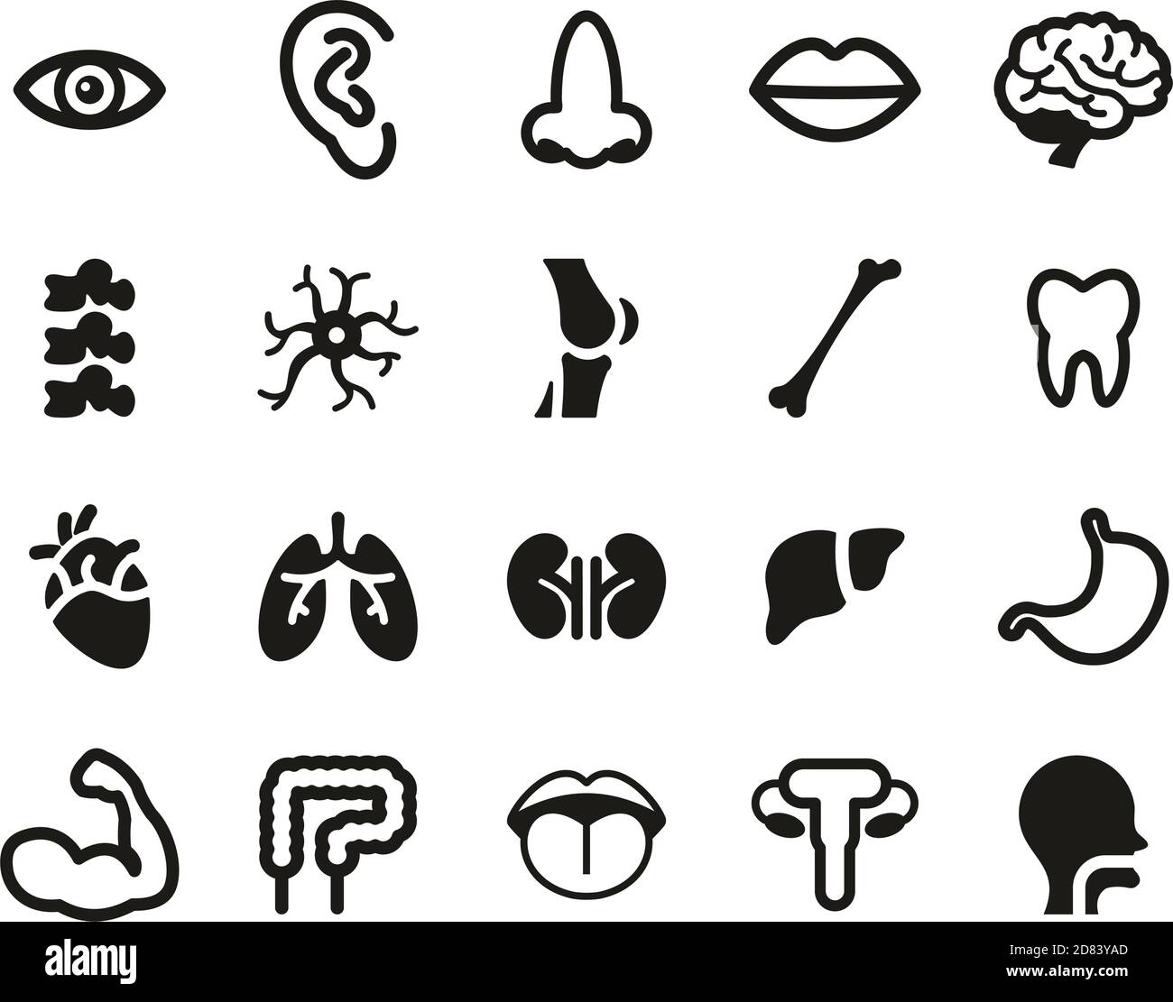 Icone dell'anatomia umana o delle parti del corpo umano in bianco e nero Imposta grande Illustrazione Vettoriale