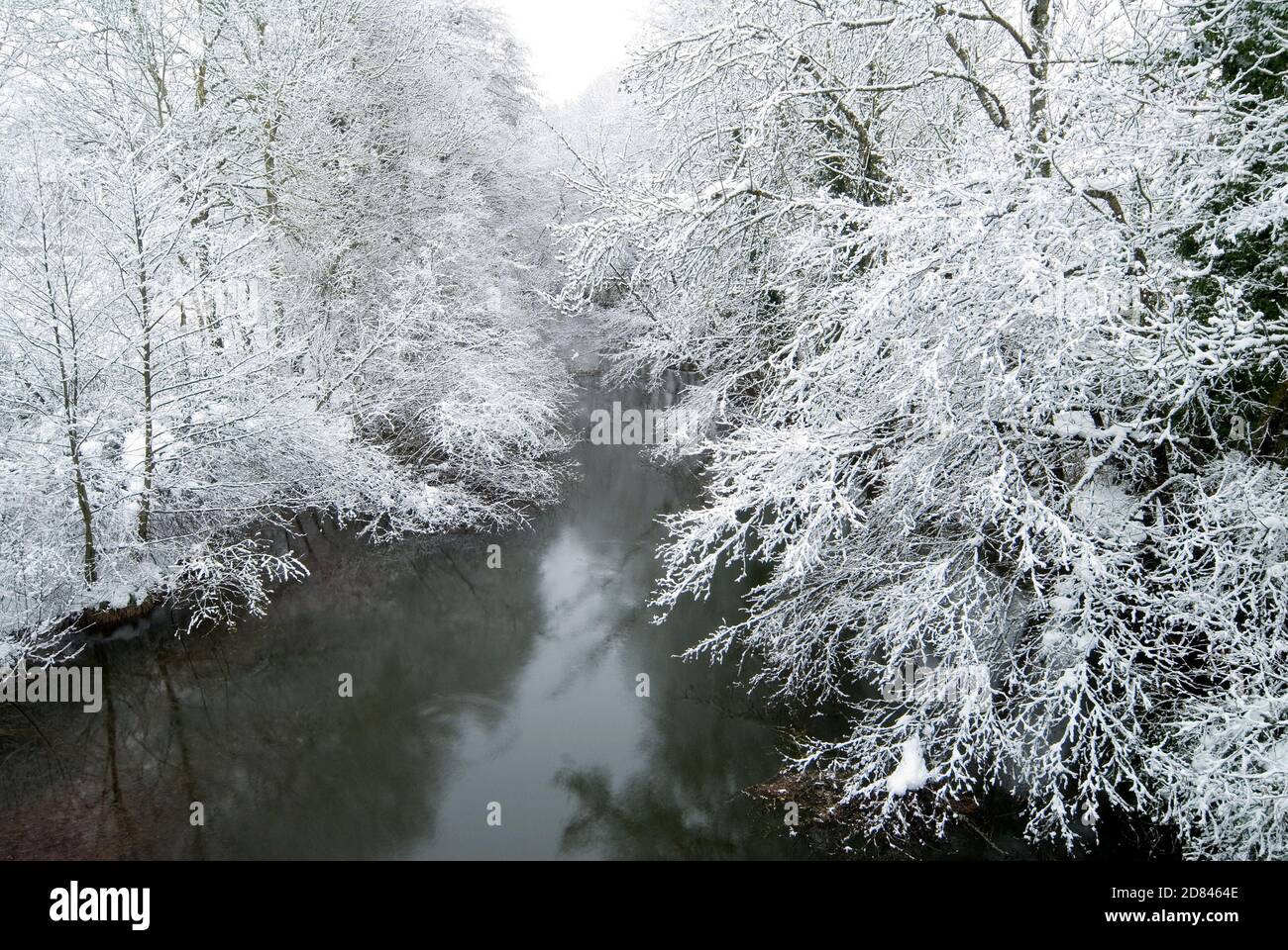 Foresta lungo il fiume Snowy sulle rive del fiume Bayas nel Parco Naturale Gorbeia, Murgia, Alava, Spagna Foto Stock