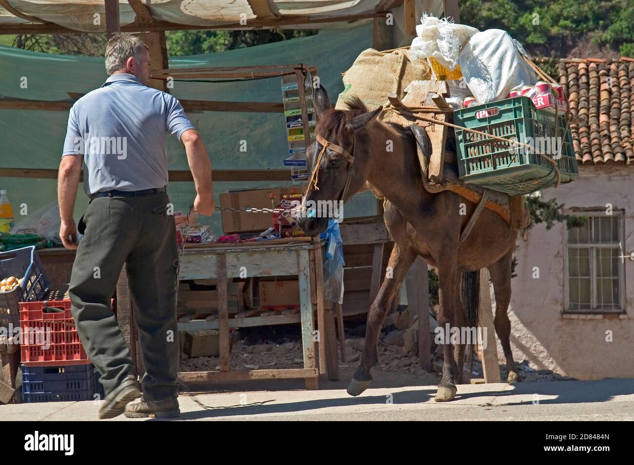 Agricoltura e trasporto di cavalli, Albania rurale Foto Stock